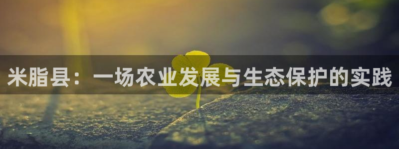 米脂县：一场农业发展与生态保护的实践