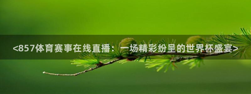 <857体育赛事在线直播：一场精彩纷呈的世界杯盛宴>