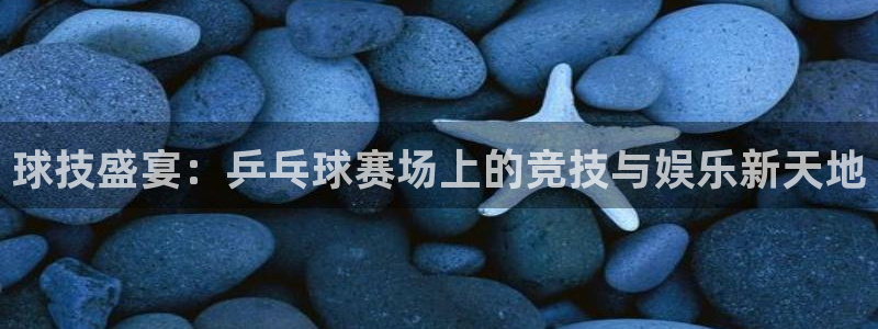 球技盛宴：乒乓球赛场上的竞技与娱乐新天地