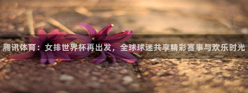 腾讯体育：女排世界杯再出发，全球球迷共享精彩赛事与欢乐时光