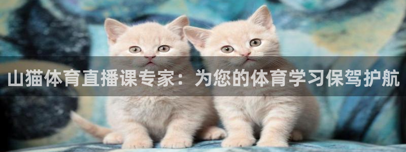 山猫体育直播课专家：为您的体育学习保驾护航