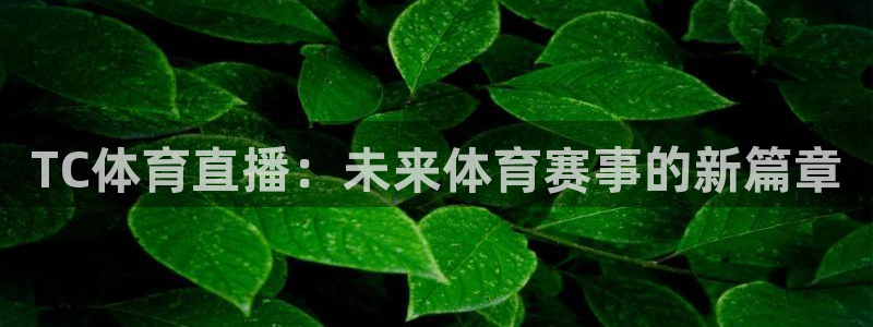 TC体育直播：未来体育赛事的新篇章