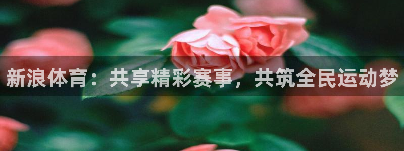 新浪体育：共享精彩赛事，共筑全民运动梦
