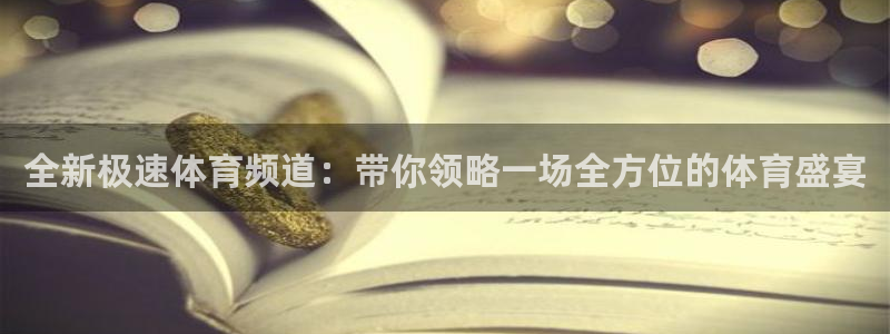 全新极速体育频道：带你领略一场全方位的体育盛宴