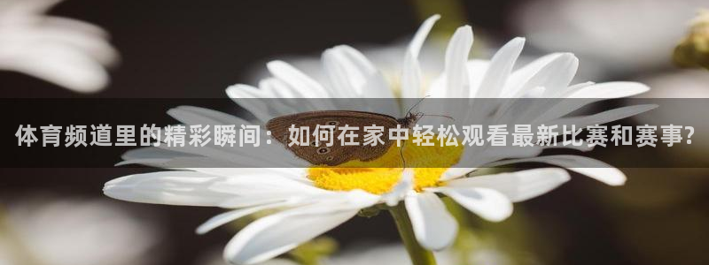 体育频道里的精彩瞬间：如何在家中轻松观看最新比赛和赛事?
