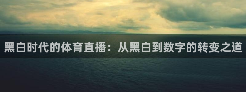黑白时代的体育直播：从黑白到数字的转变之道
