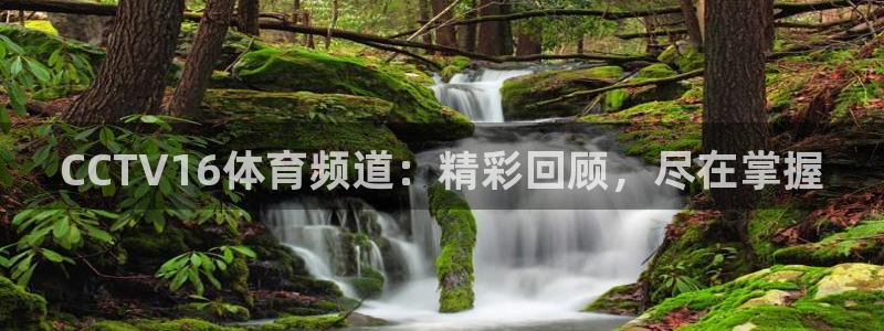 CCTV16体育频道：精彩回顾，尽在掌握