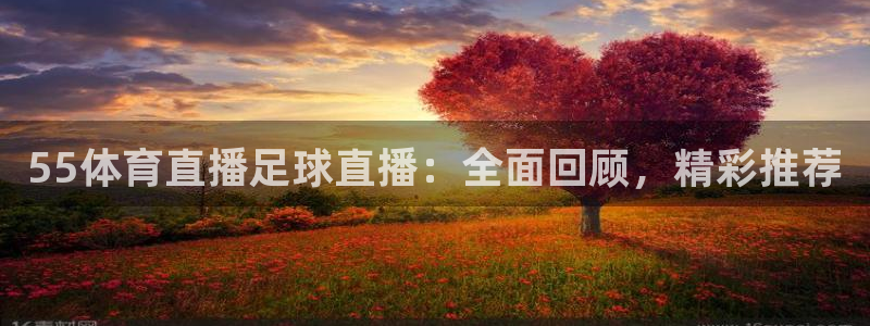 55体育直播足球直播：全面回顾，精彩推荐