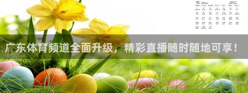 广东体育频道全面升级，精彩直播随时随地可享！
