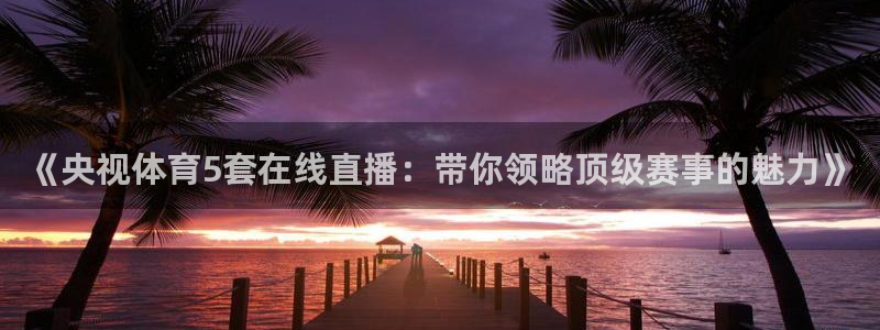 《央视体育5套在线直播：带你领略顶级赛事的魅力》