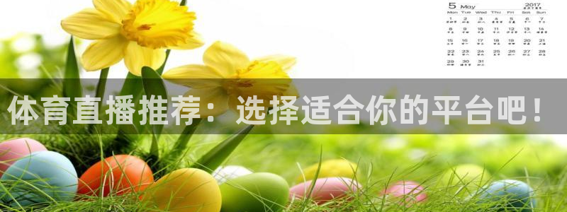 体育直播推荐：选择适合你的平台吧！