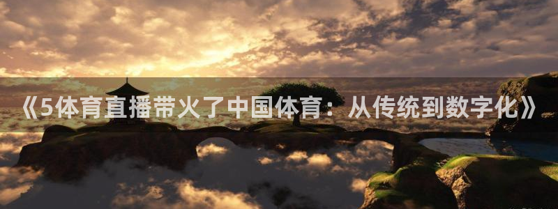 《5体育直播带火了中国体育：从传统到数字化》