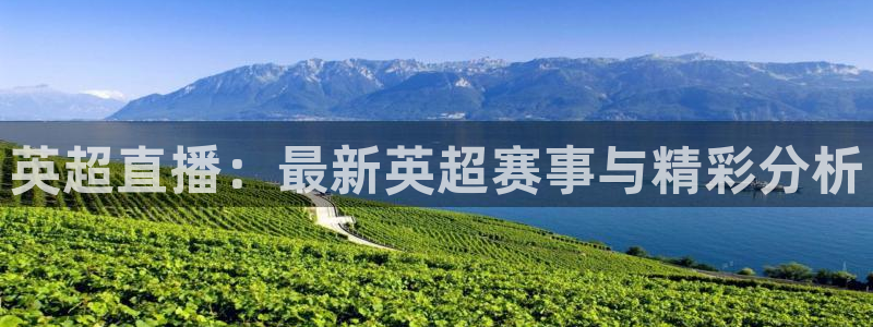 英超直播：最新英超赛事与精彩分析