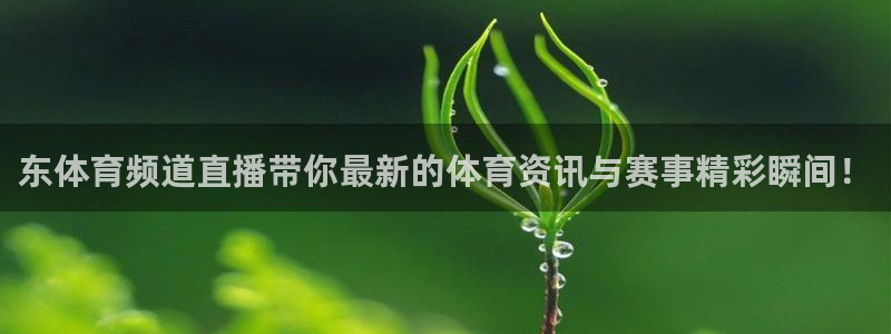 东体育频道直播带你最新的体育资讯与赛事精彩瞬间！