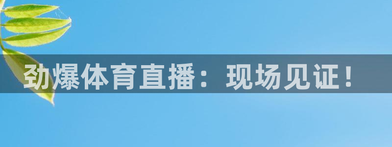 劲爆体育直播：现场见证！