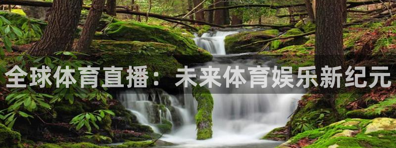 全球体育直播：未来体育娱乐新纪元