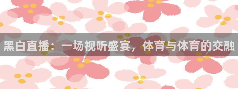 黑白直播：一场视听盛宴，体育与体育的交融