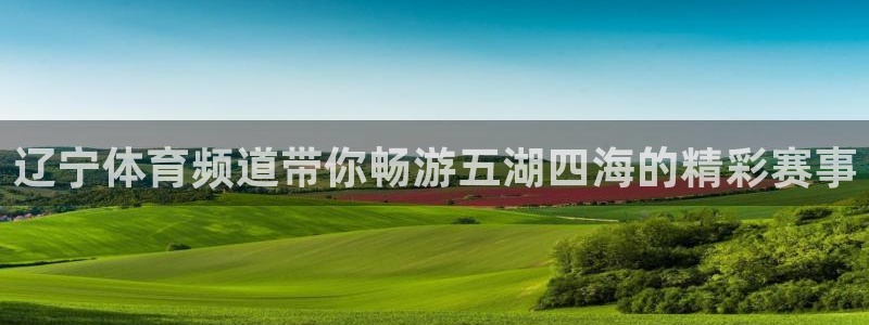 辽宁体育频道带你畅游五湖四海的精彩赛事