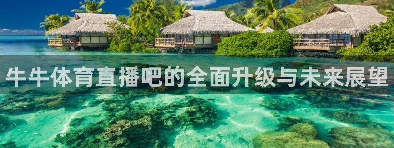 牛牛体育直播吧的全面升级与未来展望