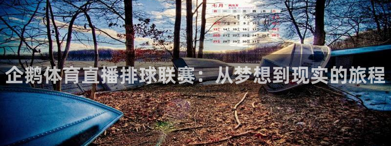 企鹅体育直播排球联赛：从梦想到现实的旅程