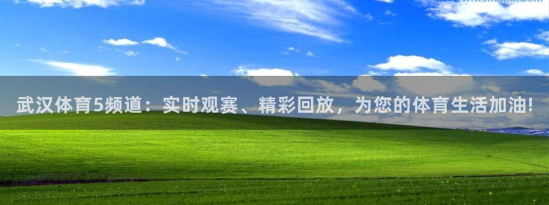 武汉体育5频道：实时观赛、精彩回放，为您的体育生活加油!