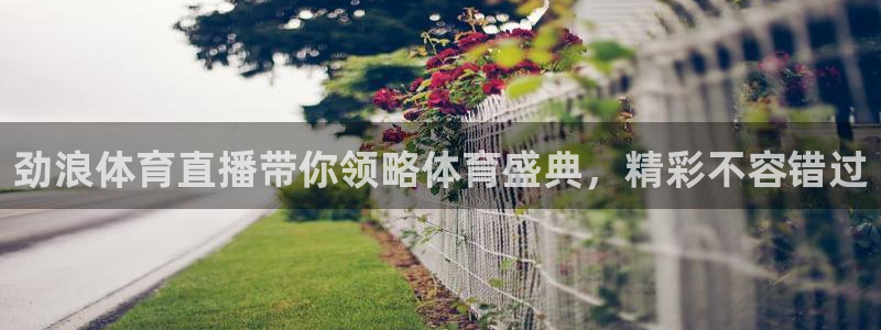 劲浪体育直播带你领略体育盛典，精彩不容错过