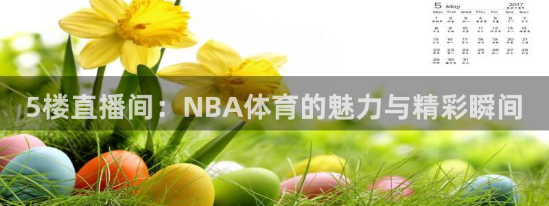 5楼直播间：NBA体育的魅力与精彩瞬间