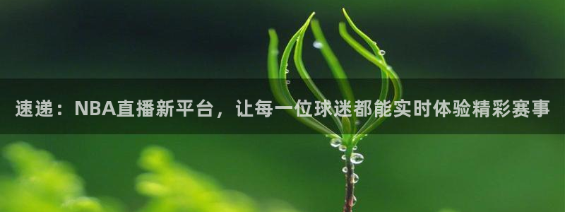 速递：NBA直播新平台，让每一位球迷都能实时体验精彩赛事