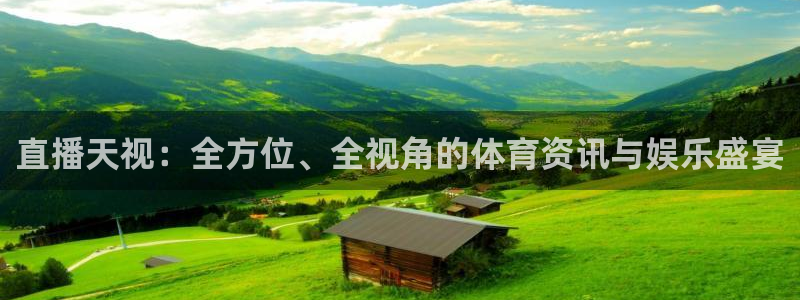 直播天视：全方位、全视角的体育资讯与娱乐盛宴