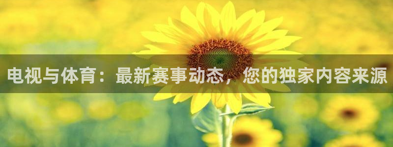 电视与体育：最新赛事动态，您的独家内容来源