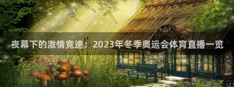 夜幕下的激情竞速：2023年冬季奥运会体育直播一览