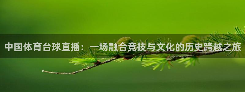 中国体育台球直播：一场融合竞技与文化的历史跨越之旅