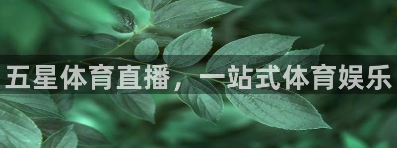 五星体育直播，一站式体育娱乐