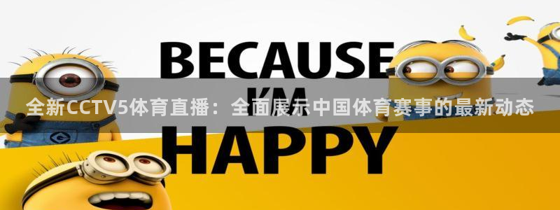 全新CCTV5体育直播：全面展示中国体育赛事的最新动态