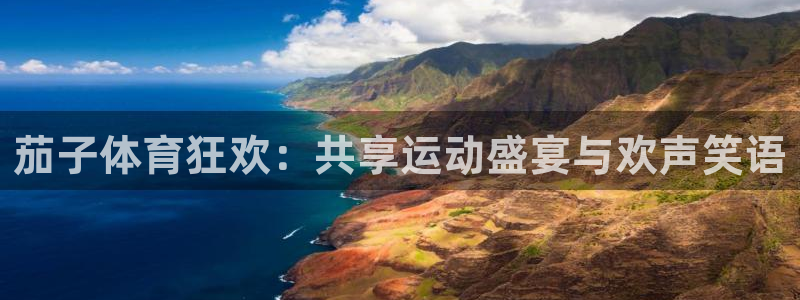 茄子体育狂欢：共享运动盛宴与欢声笑语